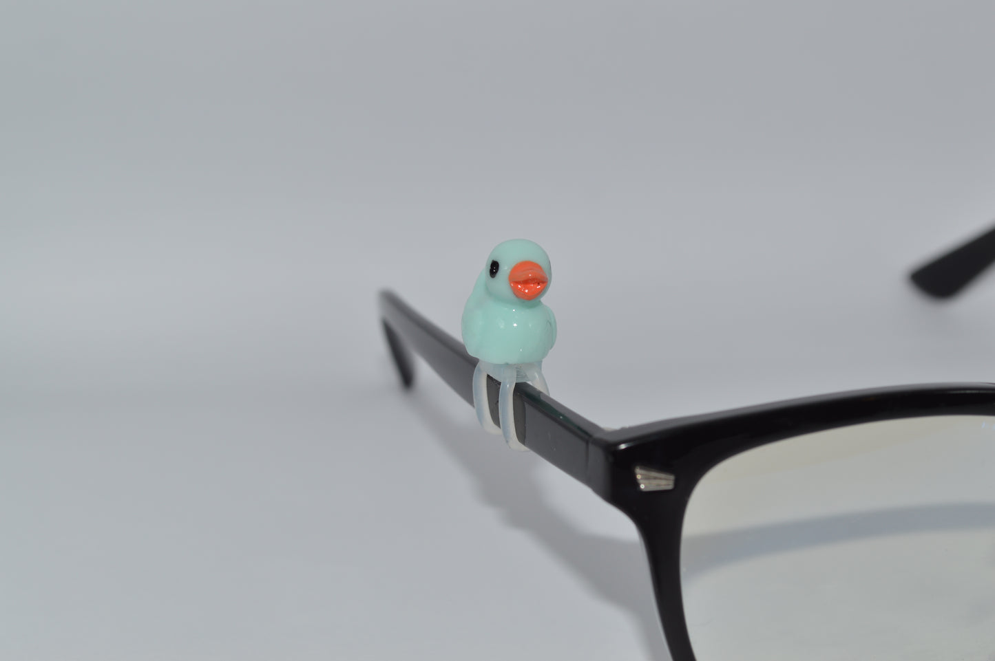 Duck Eyedeco Charm