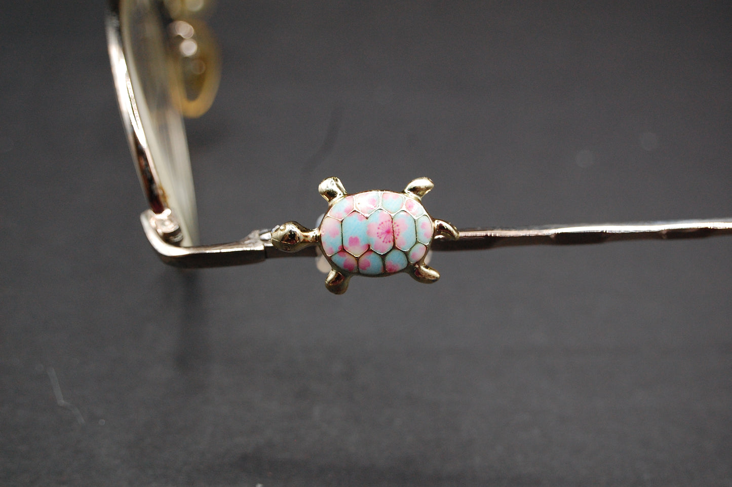 Multi-Colored Tortoise Eyedeco Charm