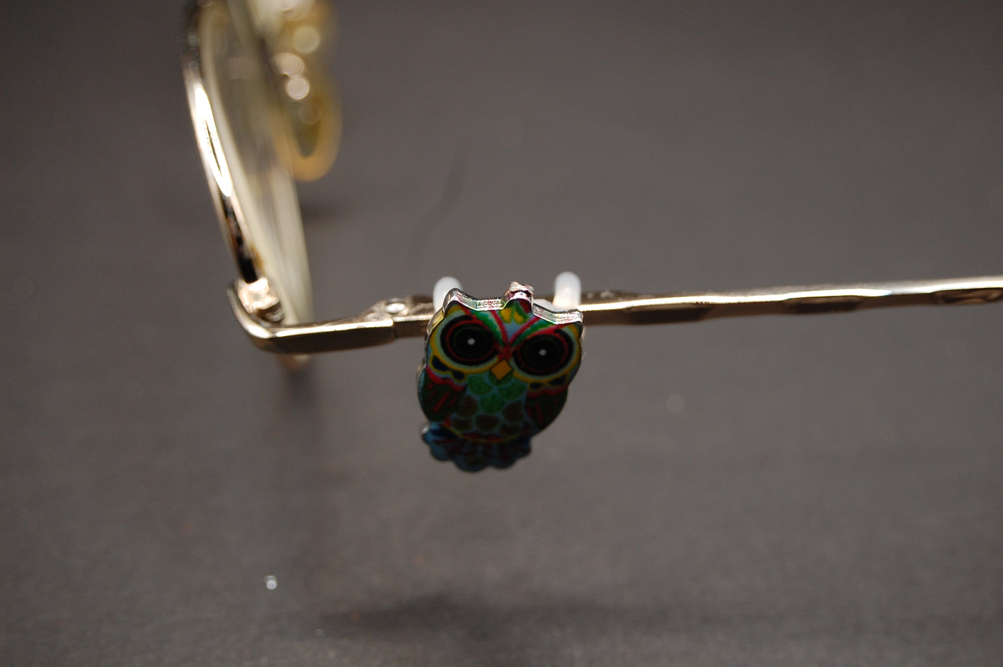 Colorful Owl Eyedeco Charm