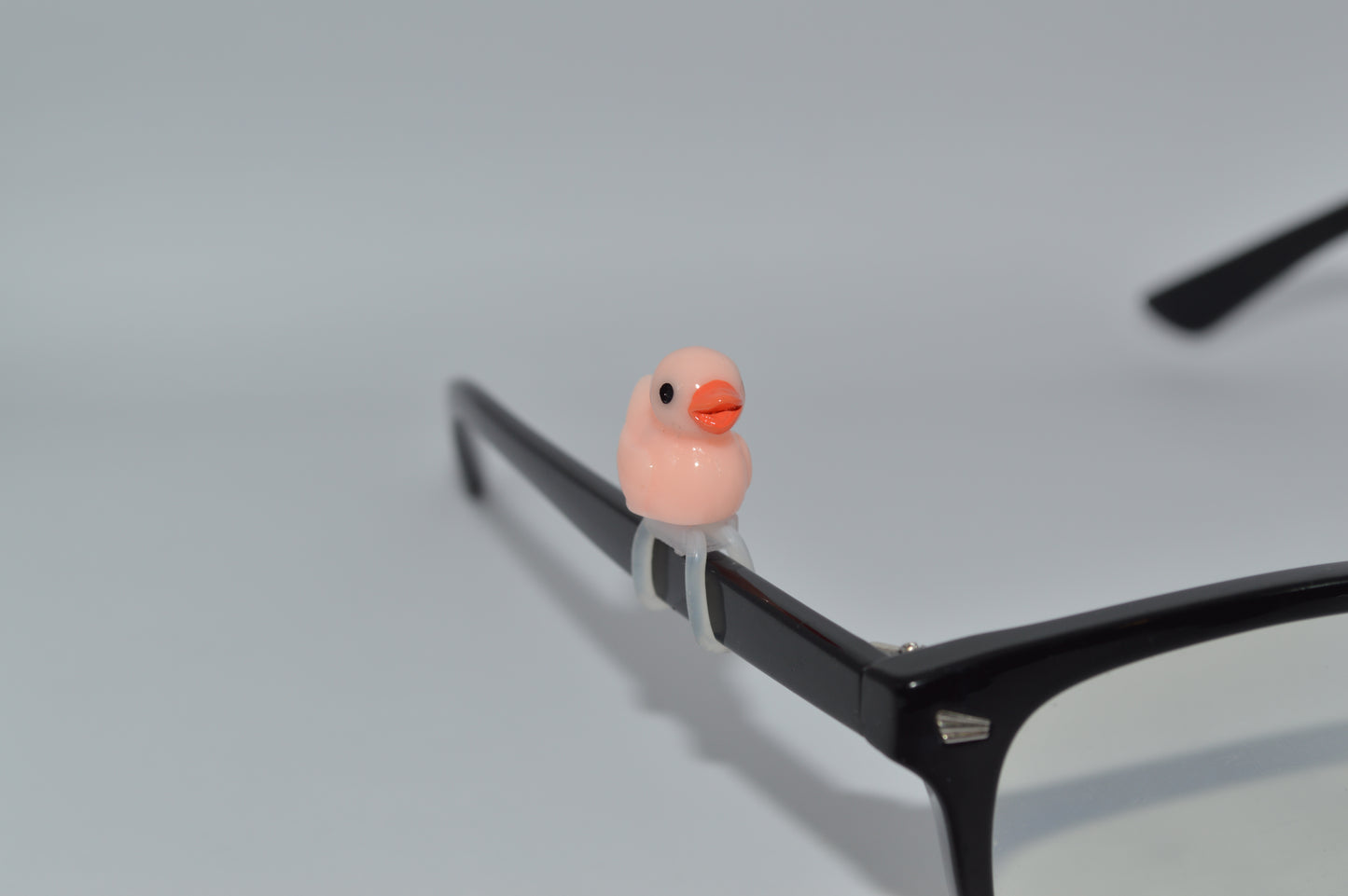 Duck Eyedeco Charm