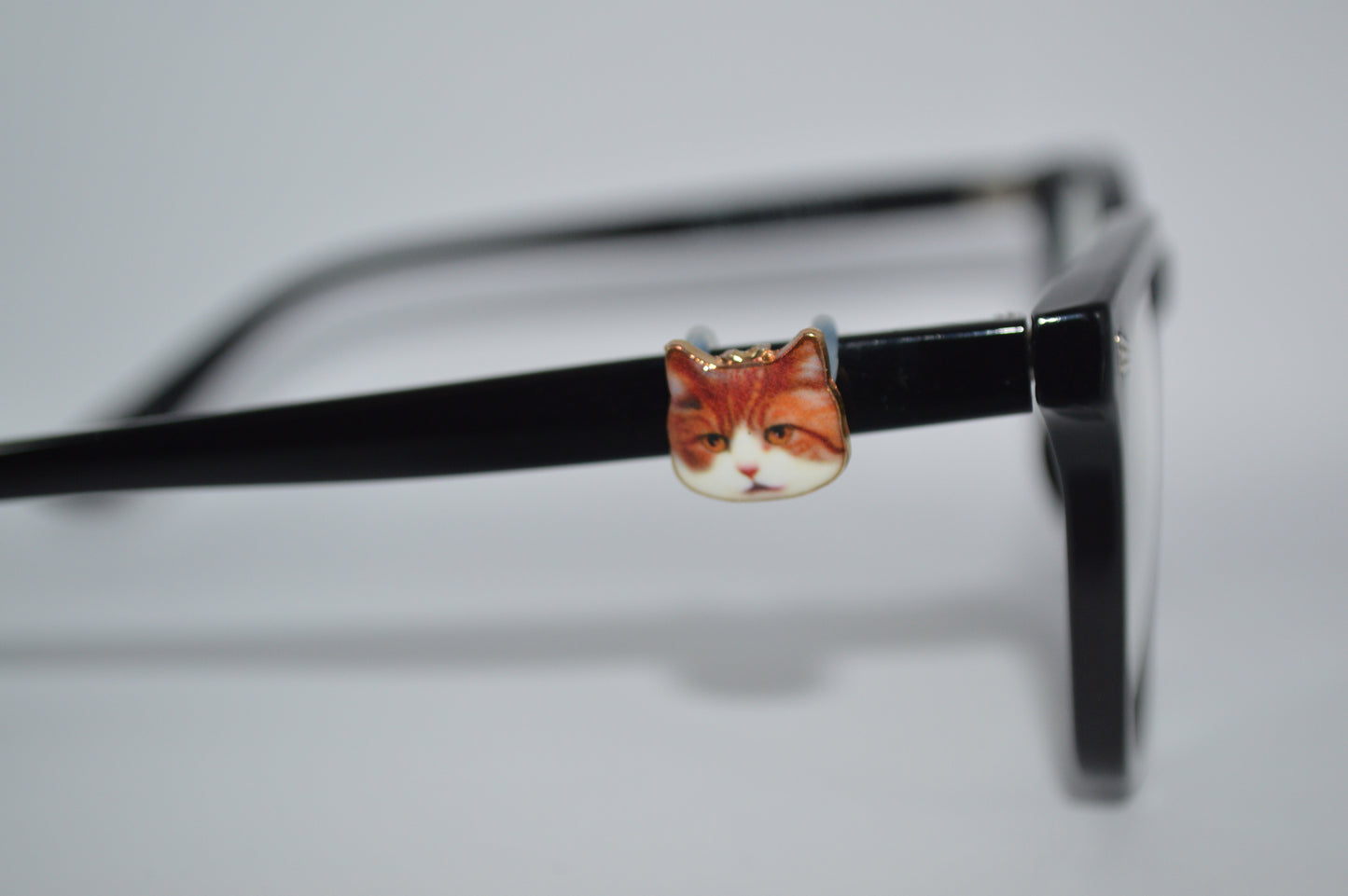 Realistic Cat Face Eyedeco Charm A1-A4