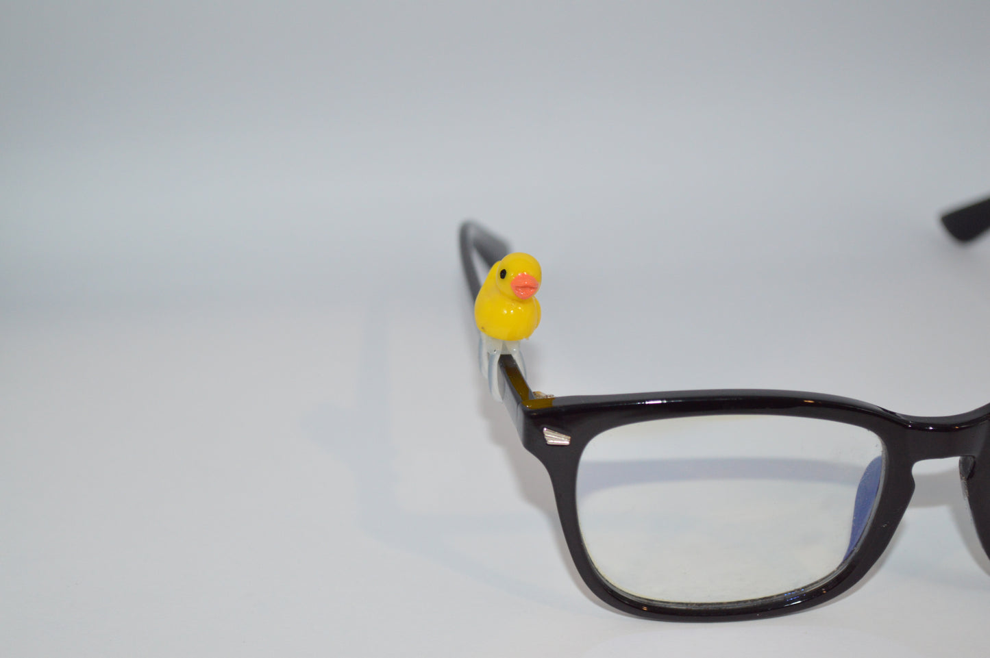 Duck Eyedeco Charm