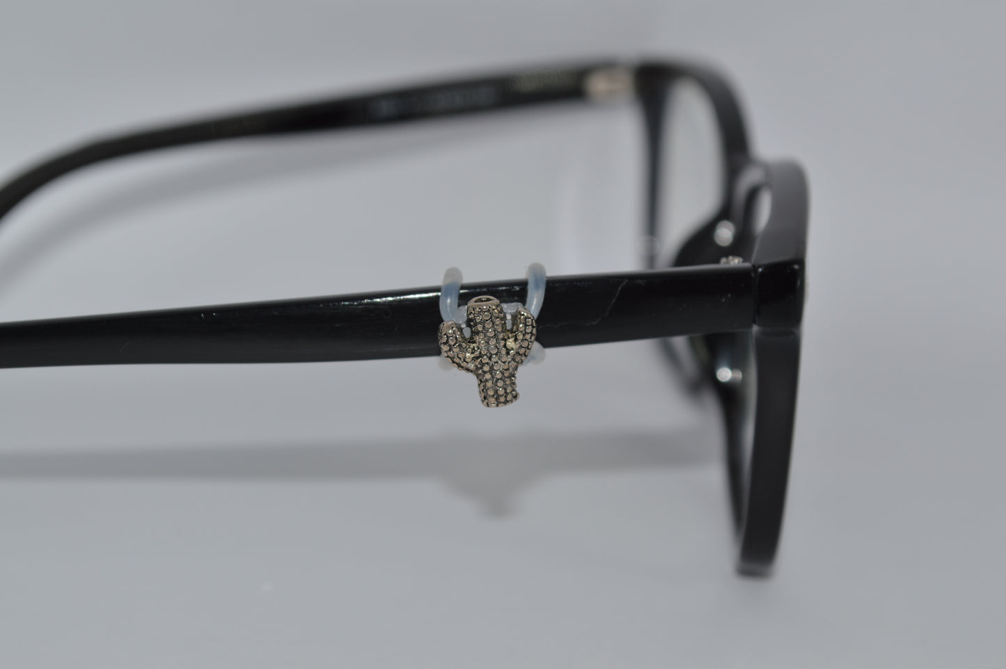 Cactus Eyedeco Charm