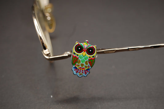 Colorful Owl Eyedeco Charm
