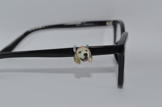 Lab Face EyeDeco Charm                                              A50